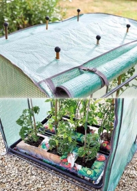 Выращивание помидоров в мобильной теплице Tomato GroZone Max от Smart Garden фото