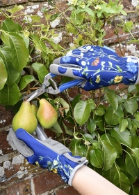 Лучшие садовые ножницы в подарочной упаковке British Meadow Collection Burgon & Ball фото