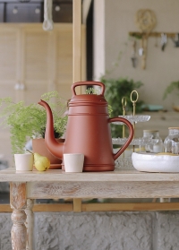Садовая лейка-кофейник 8 литров для полива цветов Lungo Copper голландского бренда Xala фото