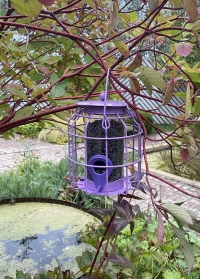 Металлическая подвесная кормушка для птиц с защитой от белок Compact от Smart Garden на сайте Consta Garden