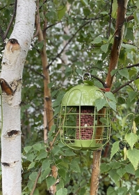 Садовая подвесная кормушка для птиц под орехи с защитой от белок Acorn Peanut от Smart Garden