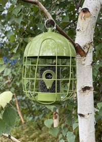 Садовая металлическая кормушка для птиц под семечки с защитой от белок Acorn Seed от Smart Garden фото
