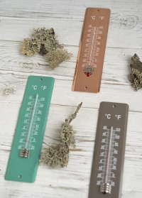 Термометры настенные для дома и улицы Blech Copper от AJS-Blackfox (Франция) заказать в Consta Garden