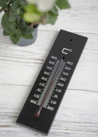 Термометр настенный для дома и улицы Medium Black французского бренда AJS-Blackfox фото