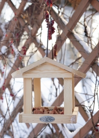Кормушка для птиц деревянная Домик FB542 от Esschert Design заказать в интернет-магазине Consta Garden
