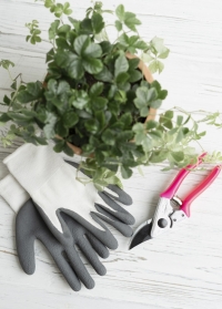 Красивый и практичный подарок садоводу и флористу - перчатки и секатор от Consta Garden фото
