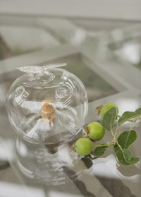 Оригинальная ловушка для плодовой мухи Яблоко EG20 Esschert Design (Нидерланды) на сайте Consta Garden