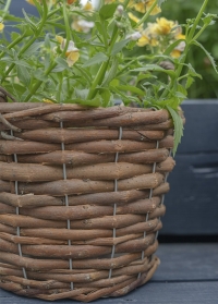 Плетеные корзины для выращивания растений Decor Trio от Smart Garden (Великобритания) фото
