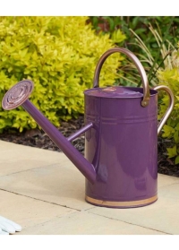 Лейка для полива растений из эмалированного металла Violet от Smart Garden фото