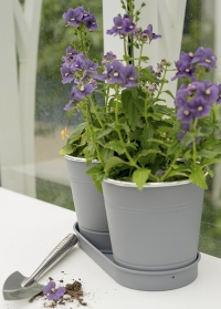 Rашпо для выращивания трав и цветов на поддоне Slate от Smart Garden (Великобритания) фото
