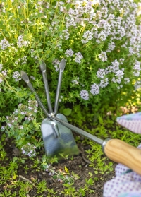 Мотыга садовая для прополки и рыхления GT249 от Esschert Design фото заказать в интернет-магазине Consta Garden