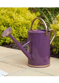 Лейка большая металлическая для цветов 9 л. Violet от Smart Garden фото заказать в интернет-магазине Consta Garden