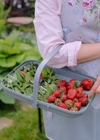 Удобная корзина для сбора урожая TidyTrug от Smart Garden (Великобритания) фото заказать в Consta Garden