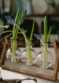 Маленькие вазочки на деревянной подставке AGG100 Esschert Design фото на сайте Consta Garden