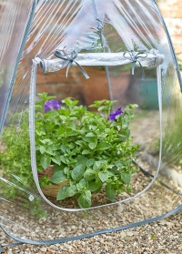 Мини-парник для дачи 70х70 см Pop-Up GroZone Smart Garden купить в интернет-магазине Consta Garden