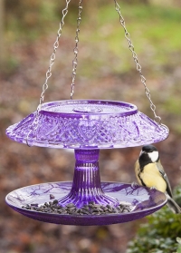 Кормушка садовая для птиц стеклянная Violet FB329 Esschert Design фото