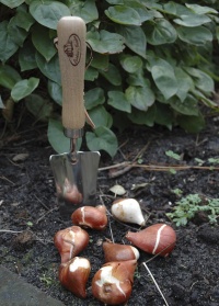 Садовый совок с разметкой для посадки и пересадки растений на даче GT08 Esschert Design фото
