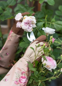 Подарок садововоду GardenGirl Classic «Любимые розы»