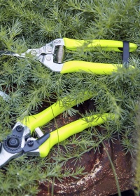 Садовые инструменты с флуоресцентными ручками Florabrite Yellow от Burgon & Ball (Великобритания) фото