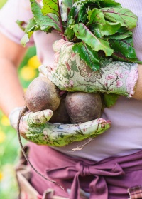 Перчатки с нитрилом для сада и огорода Chelsea Collection GardenGirl RRH30 фото