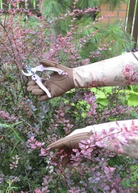 Перчатки для роз GardenGirl Classic Collection 