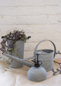 Лейка садовая из оцинкованного металла для полива растений W2023 Esschert Design фото