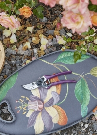 Секатор Passiflora в подарочной упаковке - садовый инструмент для ухода за садом Burgon & Ball фото