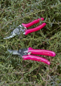 Секатор садовый с флуоресцентными рукоятками, который не потеряется Florabrite Pink Burgon & Ball фото