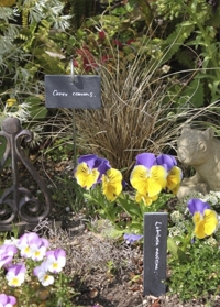 Садовые таблички из сланца для названий растений Esschert Design в ассортименте на сайте Consta Garden фото