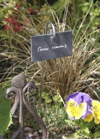 Садовая табличка из сланца для подписи названий растений GT132 Esschert Design фото