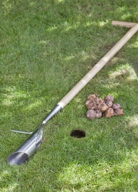Английский садовый инструмент для посадки луковичных Burgon & Ball (Великобритания) фото