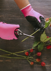 Ножницы флористические с яркими ручками Pink Florabrite Burgon and Ball фото.jpg