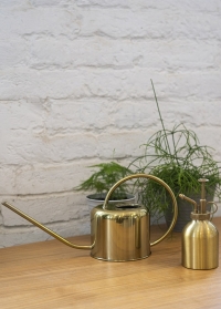 Лейка металлическая золотистая для комнатных растений 1 литр Esschert Design фото