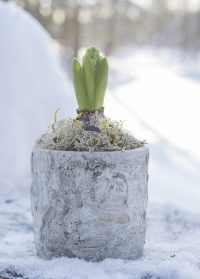 Кашпо цветочное из бетона с имитацией березовой коры прекрасно подходит для зимних композиций фото