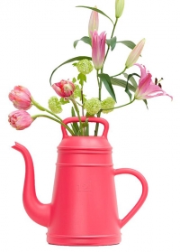 Лейка кофейник для цветов 12 л Lungo Pink Xala фото.jpg