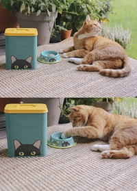 Металлическая миска для кормления кошек Doris Cat Bowl Creaturewares Burgon Ball фото