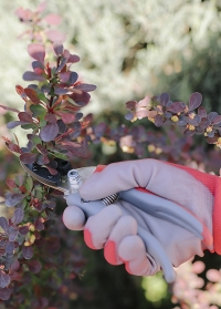 Садовые перчатки с нитрилом флористические Colors Red AJS-Blackfox фото