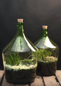 Флорариум стеклянный для растений бутылка 10 литров AGG66 Esschert Design фото