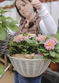 Подвесная корзина для уличных растений плетеная из искусственного ротанга Seashell Smart Garden фото