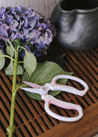 Японские ножницы для цветов Chikamasa в подарок флористу от Consta Garden фото