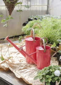 Лейка садовая металлическая для цветов 4.5 л. Coral Pink Smart Garden фото