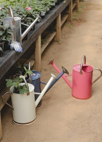 Лейки металлические садовые для цветов Smart Garden фото