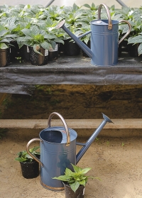 Английская металлическая лейка для цветов 4.5 л. Blue Smart Garden картинка