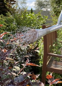 Лейка садовая для цветов с длинным носиком 9 л. из оцинкованной стали Galvanised Steel Smart Garden фото