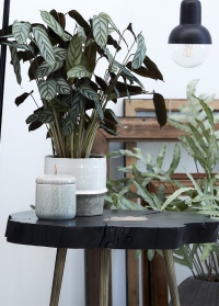 Керамическое кашпо для растений Helsia для интерьера в скандинавском стиле от Lene Bjerre картинка