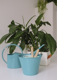 Подарок цветоводу - набор кашпо и лейка для комнатных растений Burgon & Ball от Consta Garden фото