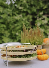 Настольная сушилка для цветов и трав из 3-х бамбуковых тарелок на подставке FH009 Esschert Design фото
