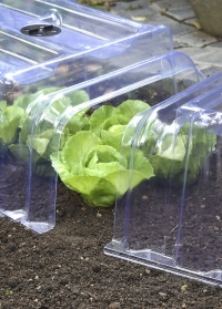 Пластиковый прямоугольный колпак-туннель для укрытия овощных грядок Clear Cloche Smart Garden фото