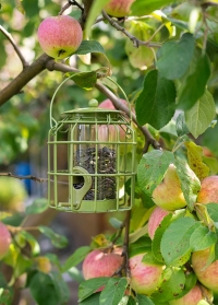 Садовая подвесная кормушка для птиц с защитой от белок на дачу от Smart Garden на сайте Consta Garden