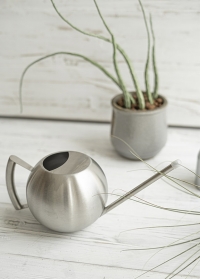 Дизайнерская металлическая лейка шар из нержавейки для полива комнатных растений TG295 Esschert Design фото